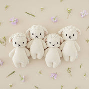 Baby lamb, gives 5 meals