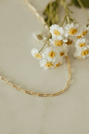 Madeline Gold Filled Paperclip Necklace: 16"