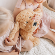Charlie Weighted Puppy – Kids Calming Sensory Toy