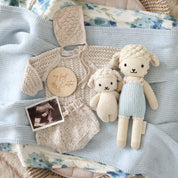 Benjamin the lamb: Little - 13"