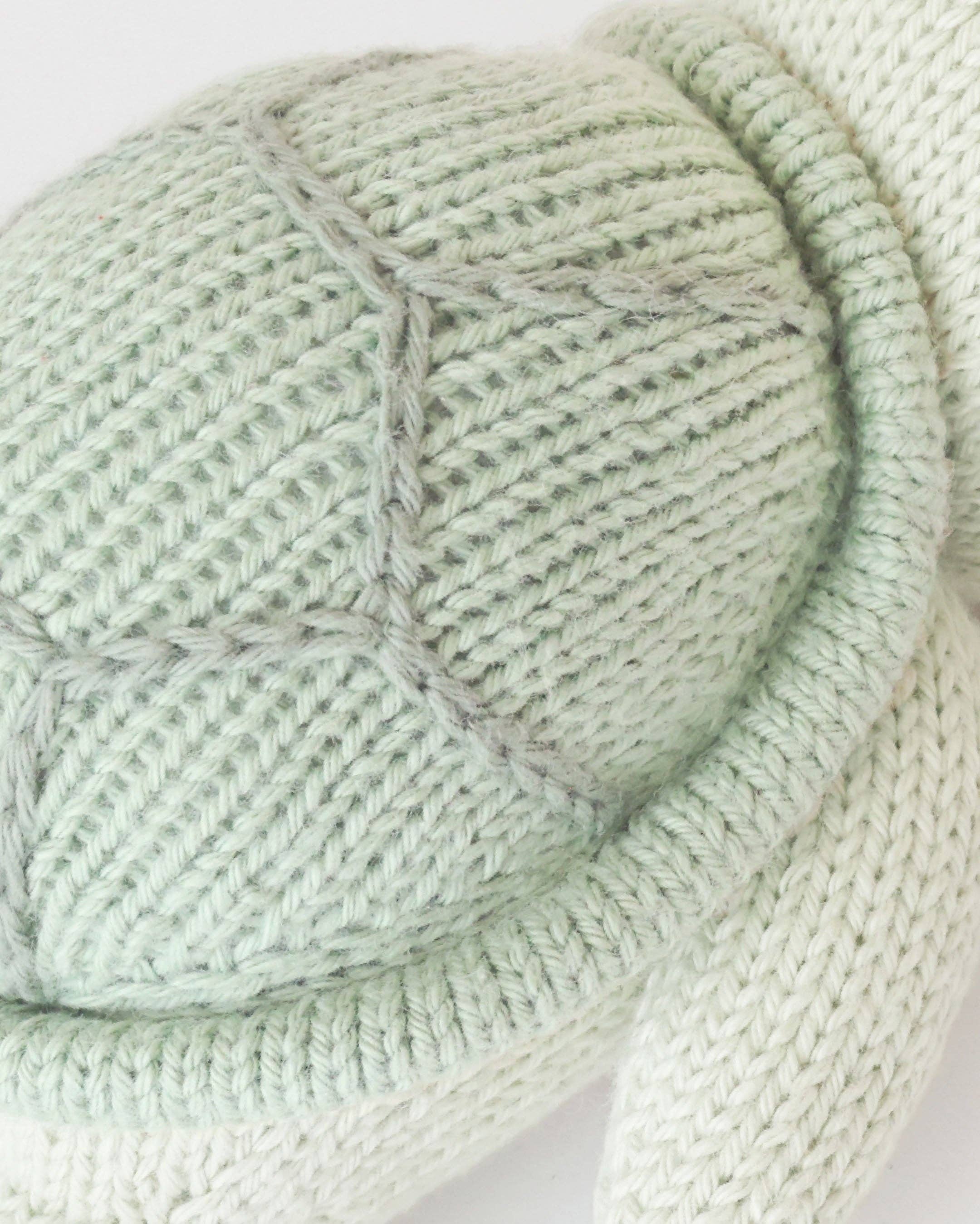 Baby sea turtle (kelp green)