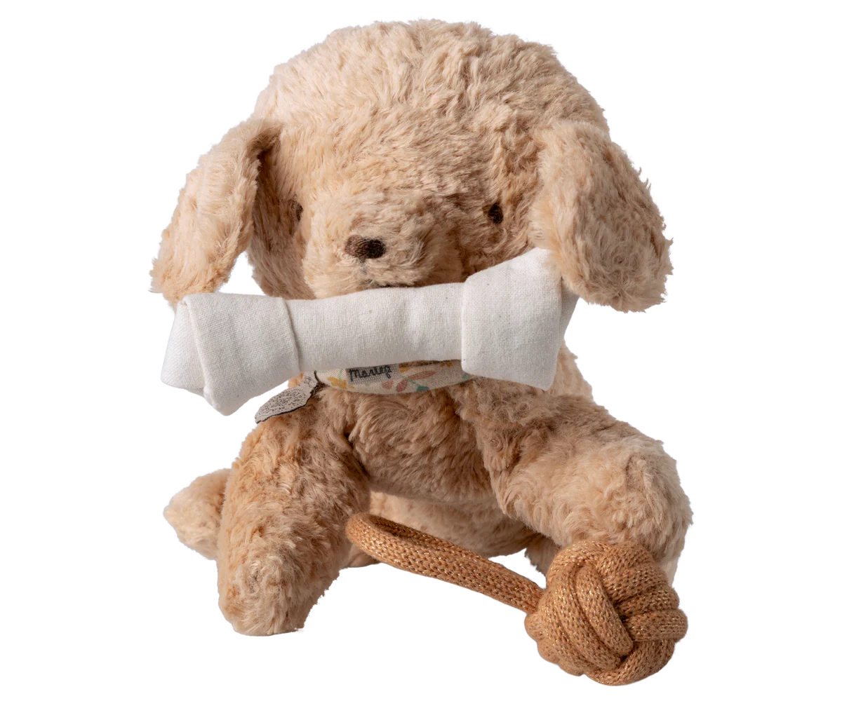 Pet Supply Toys