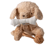 Pet Supply Toys