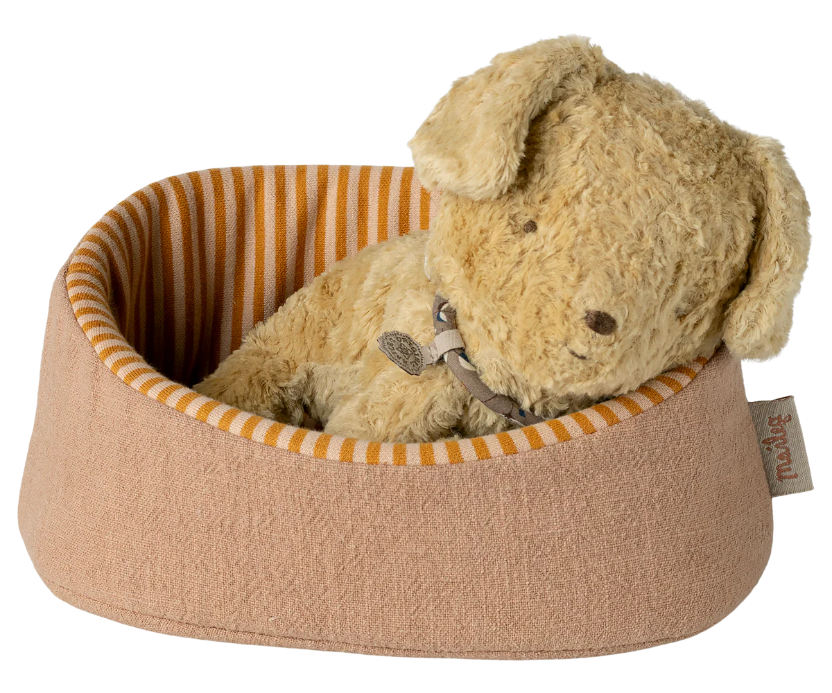 Pet Basket - Powder