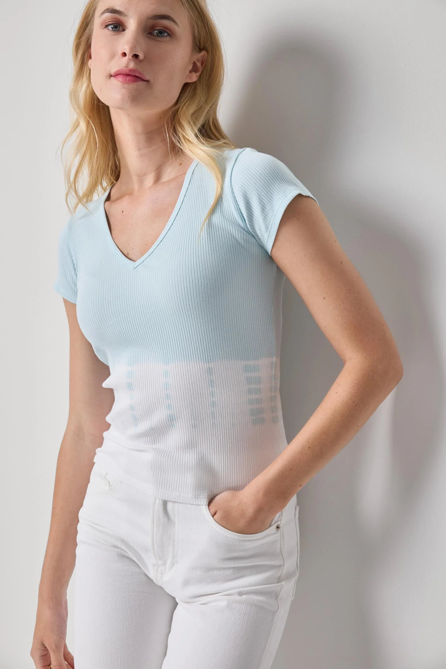 Bamboo Dye Short Sleeve V-Neck