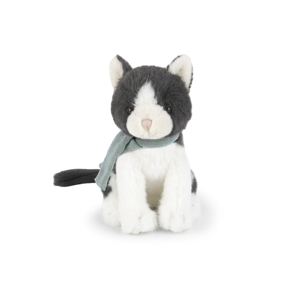 Mon Ami Felix Cat