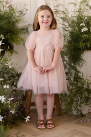 Zoella Tulle Dress - Petite Heart Rosie