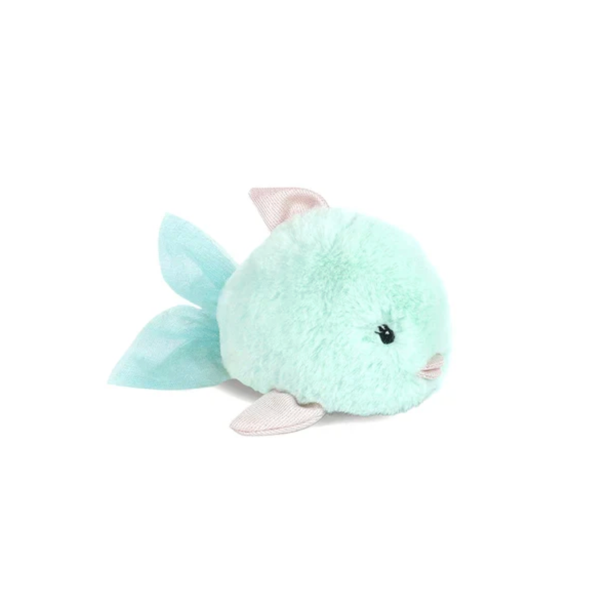 Angel Fish - Blue