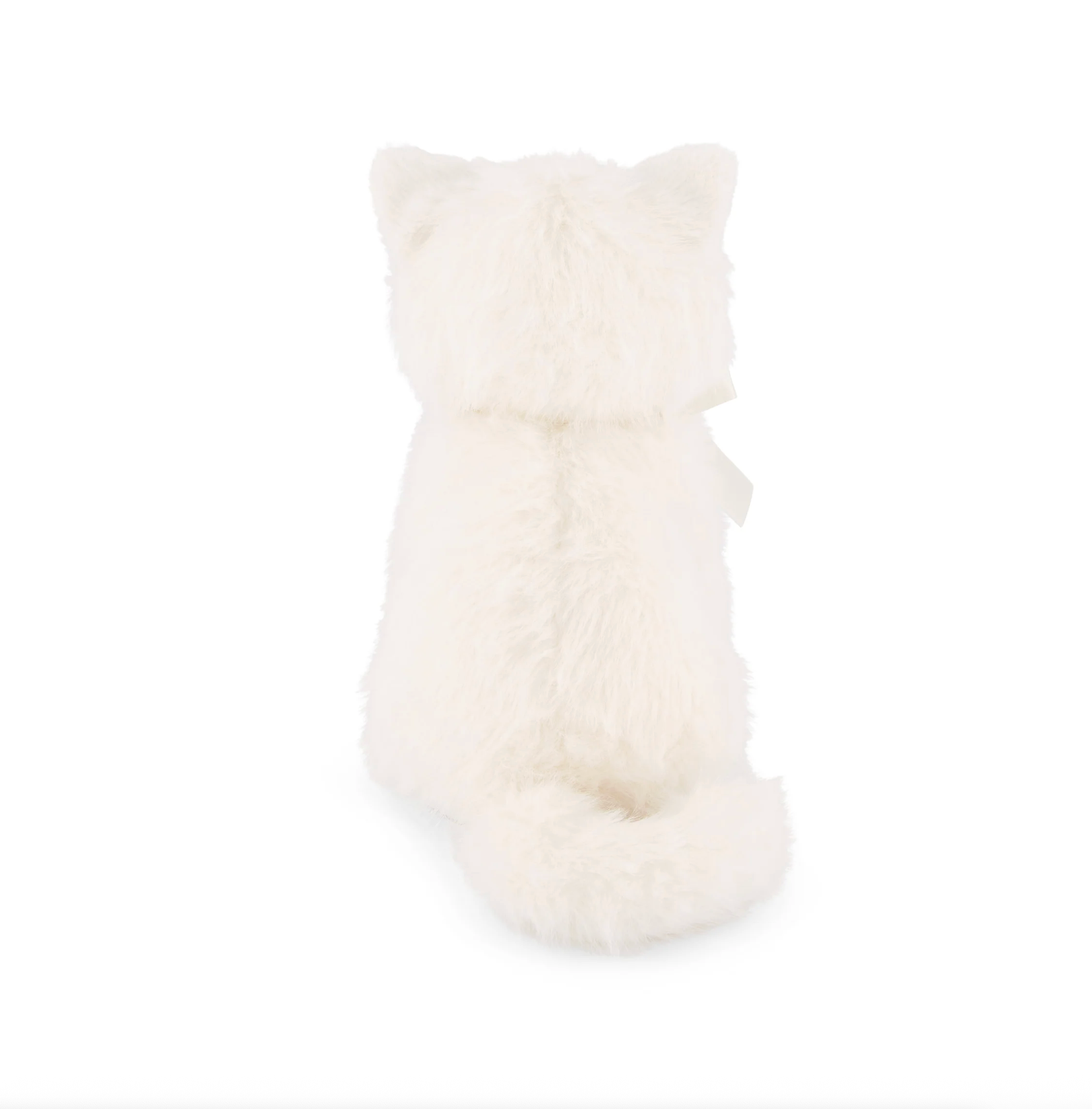 Moon the Kitty - Snow