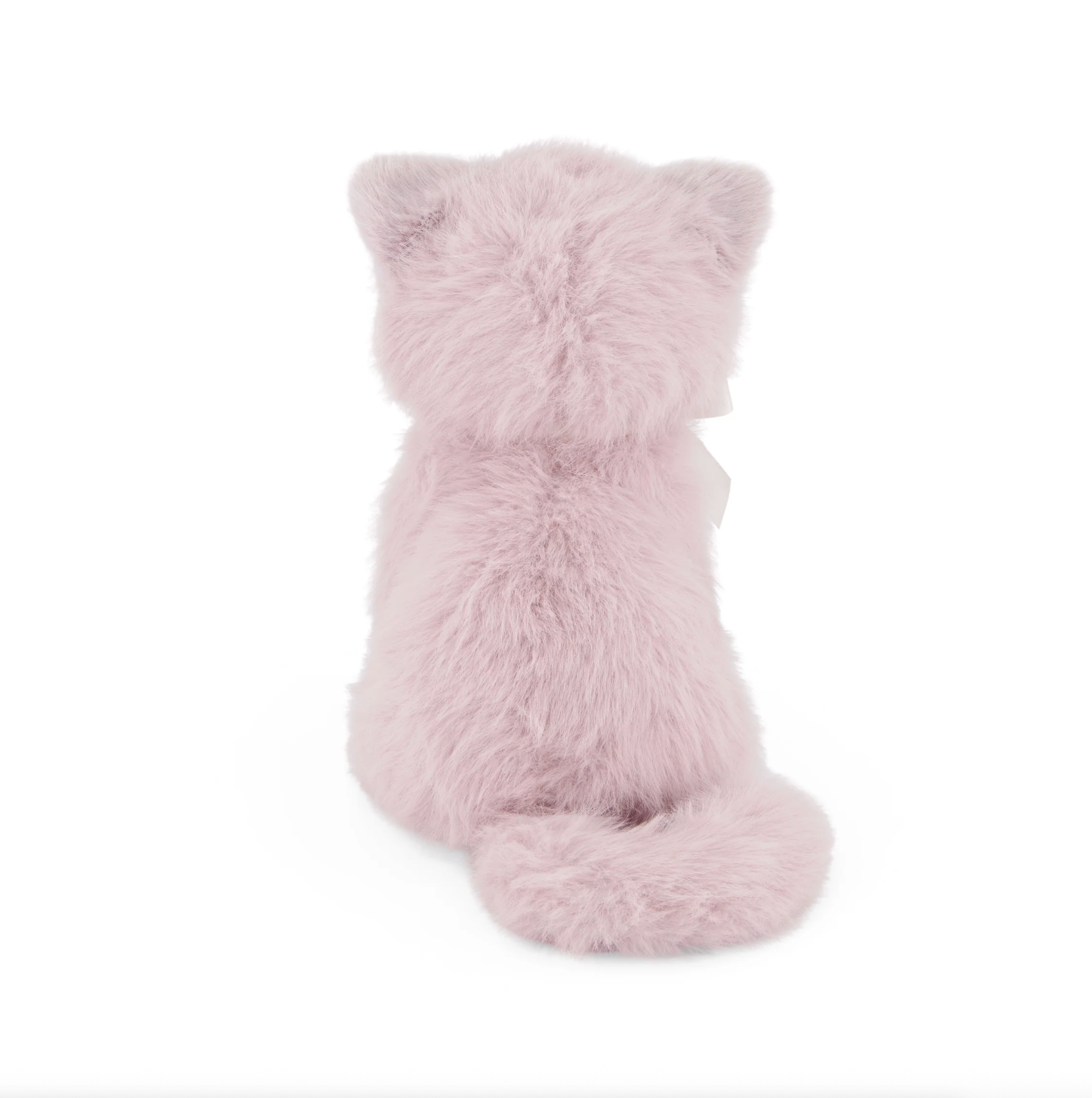 Moon the Kitty - Violet