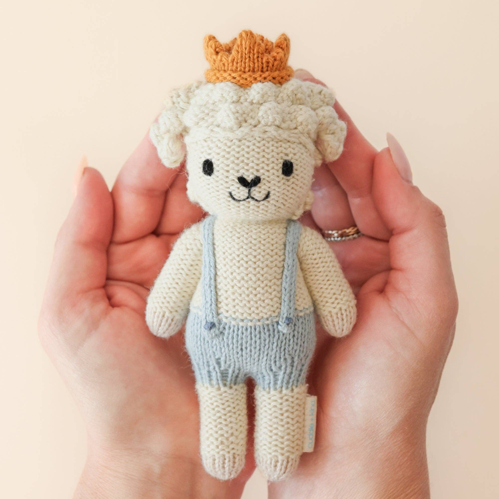 Tiny Sebastian the lamb, gives 10 meals